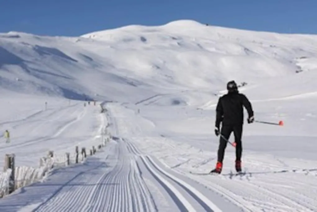 Maison Proximite Station De Ski Le Lioran Laveissiere France